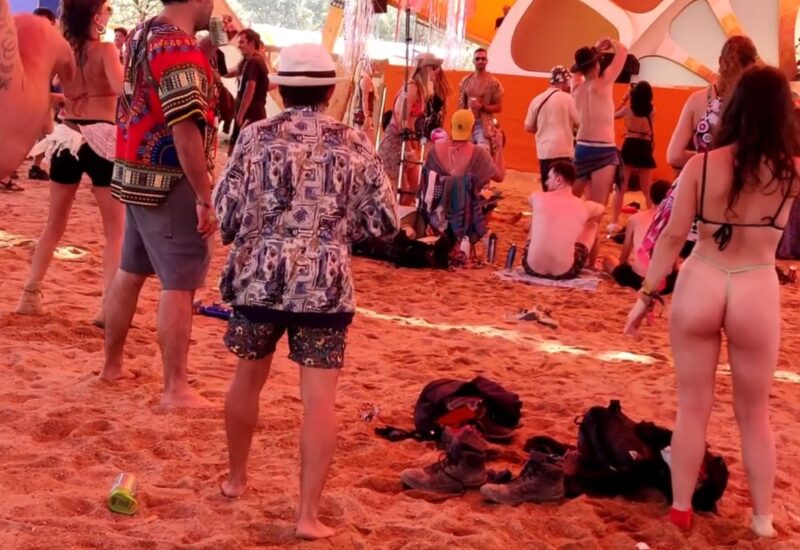 pulses from organic farm